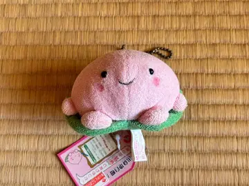 키텔그마 봉제 인형 & 키텔그마 마스코트