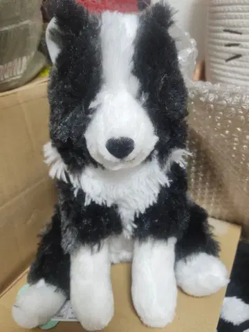 택 포함! 축 늘어진 보더콜리 봉제 인형