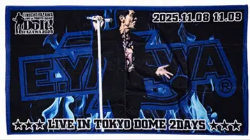 야자와 에이요시 2025 도쿄돔 회장 한정 비치 타월 TOKYO DOME