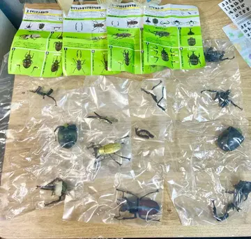 곤충왕 2 가챠 컴플리트