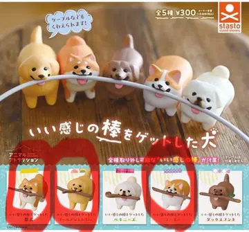 기분 좋은 막대기를 겟한 강아지 6개