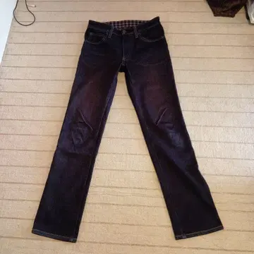 EDWIN WILDFIRE503 29인치