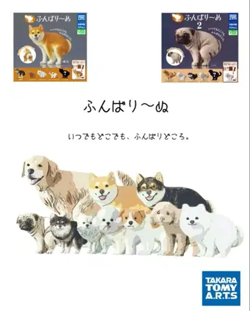 푼바리누 1&2 (노멀 10종)