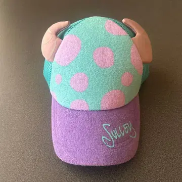 디즈니 샐리 캡