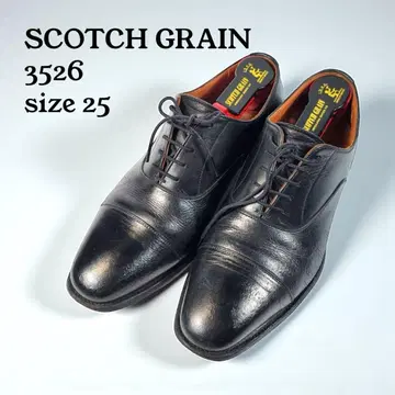 SCOTCH GRAIN 스코치 그레인 비즈니스 슈즈 슈키퍼 포함