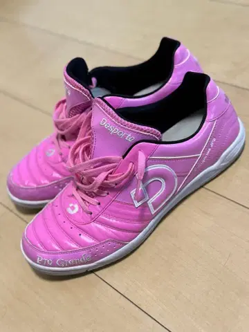 데스포르치 별주 칸피나스 JP5 (핑크) 실내 모델 28cm