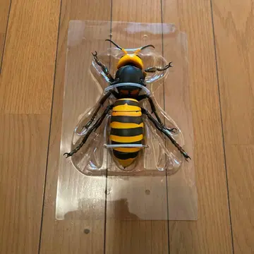 REVOGEO (리보지오) 카이요도 오오스즈메바치