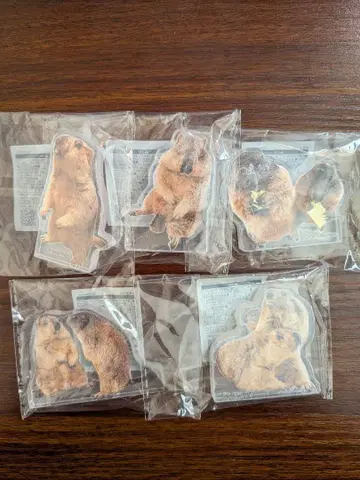 히말라야마모트 마모치 아크릴 스탠드