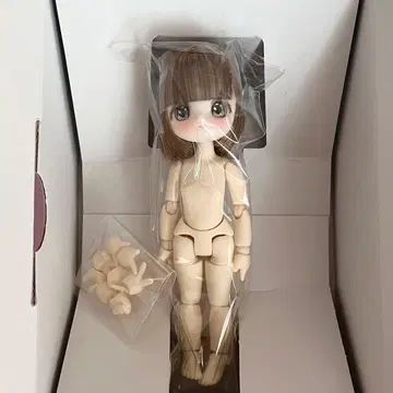 AZONE F.L.C. x SugarCups 캔디 루루