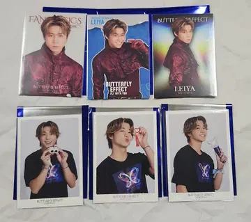 세구치 레이야 포토 카드 시크릿 포함 BUTTERFLY EFFECT