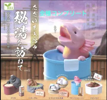 온천 가챠 비탕을 방문하여 컴플리트