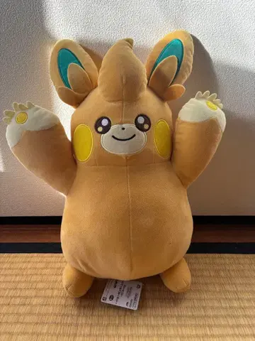 포켓몬 봉제 인형 2세트