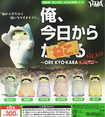 나, 오늘부터 개구리 고양이 전 6종 세트 [미개봉]