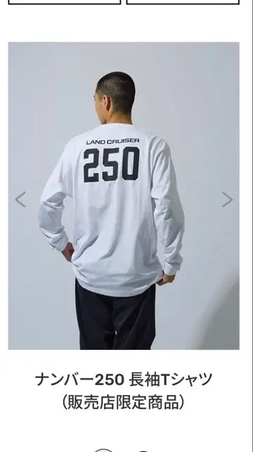 [레어] 랭크 넘버 250 긴팔 T셔츠