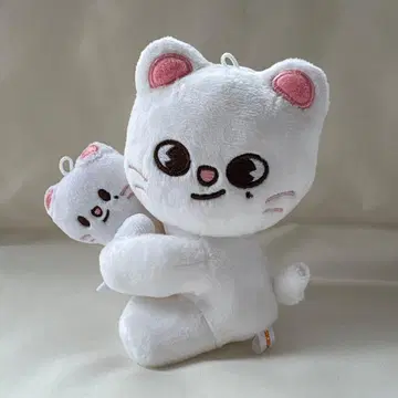 SKZOO MAGNET PLUSH SET 팝업 지니레트