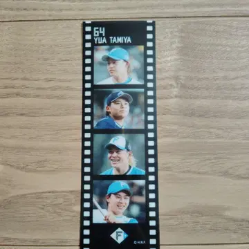 일본햄 파이터즈 타미야 유료 반투명 실키 필름 스티커