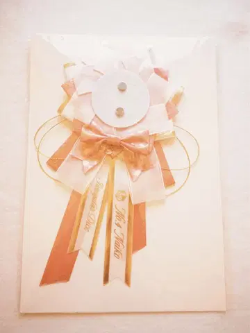 이레이스 나이코 로제트