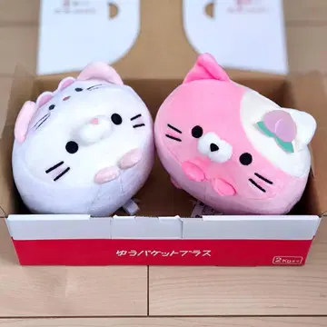 코로코로 냥코 야마나시 한정판 피치냥 신슈 한정판 오코죠냥