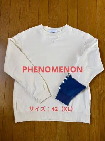 PHENOMENON 맨투맨 트레이닝복