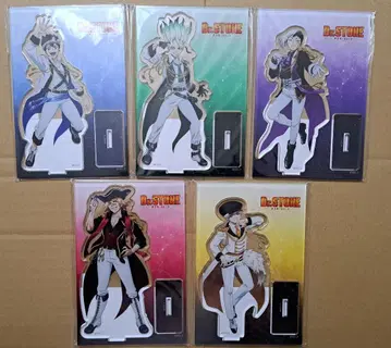 Dr.STONE 아이돌 아크릴 스탠드 5세트