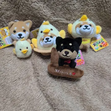 여행하는 마메시바 나고야 세트