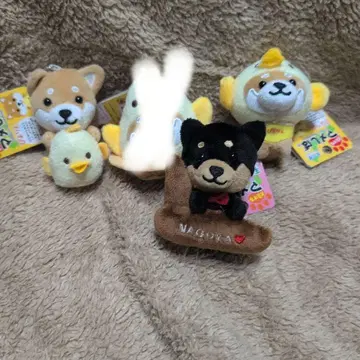 여행하는 마메시바 나고야 세트