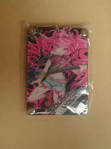 SDVX 그레이스 아크릴 패스 케이스