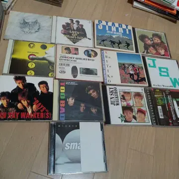 JUN SKY WALKERS CD 세트