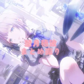 프로세카 모치즈키 호나미 묶음 판매