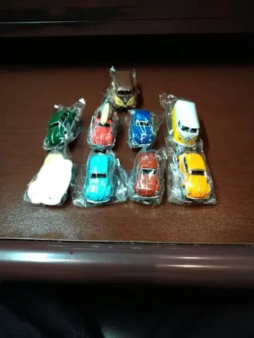 모로조프 미니카 35개