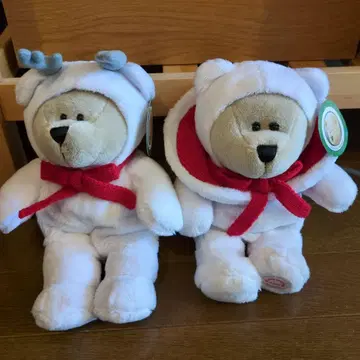 스벅 베어리스타 2019년 보이&걸