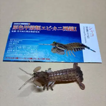 유진 원색 갑각류 새우 게 도감 I 샤코