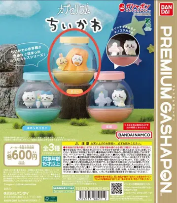 치이카와 (먼작귀) 캡슐 토이 프리미엄 가샤폰 카프세리움 젤리 토끼