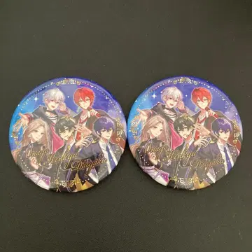 여자 연구 대학 캔 배지