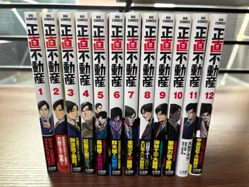 정직 부동산 12권 세트