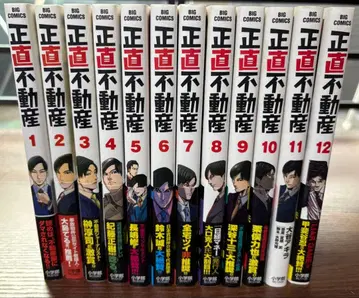 정직 부동산 12권 세트