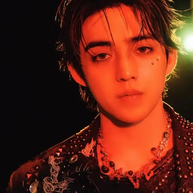 세븐틴 에스쿱스 전용 ㄹㅂ