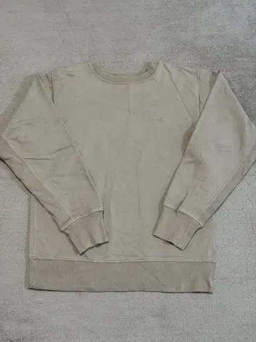 정말 멋진 THE NORTH FACE 퍼플 라벨 맨투맨