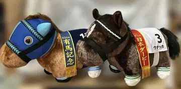 서러브레드 컬렉션 후와후와 BIG 다이와 스칼렛 보드카