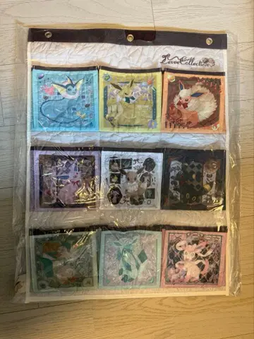 이브이 컬렉션 월 포켓