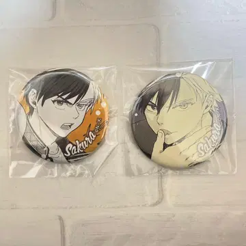 사쿠라 하루카 캔뱃지 2개 세트