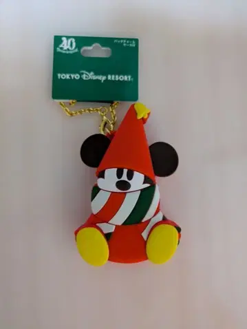 릴린링 백참 케이스 포함