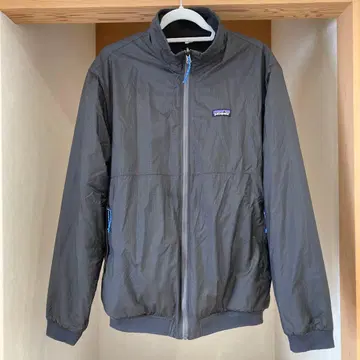 파타고니아 마이크로디니