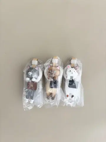 출퇴근 고양이 마스코트 볼체인 고등어태비, 샴, 삼색이 3종