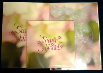 앙스타 스타포니 팜플렛 혜택