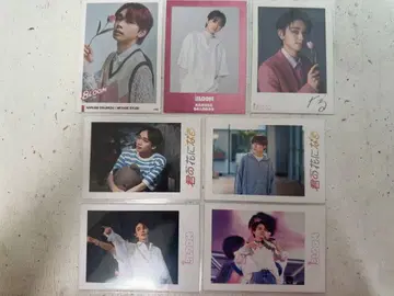 미야세 류비 나루세 다이지로 너의 꽃이 될 거야 트레카 세트