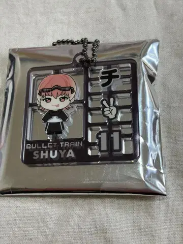 초특급 REAL? 랜덤 키링 11호차 슈야 익명 배송