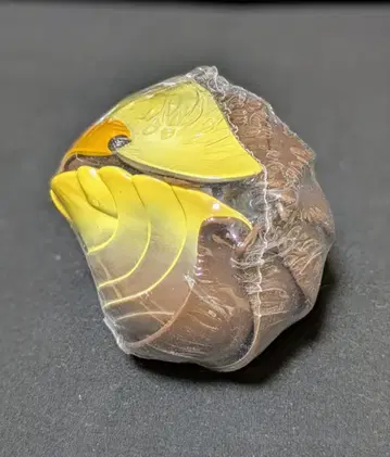 생물대도감 러버 다키 코시비로 단고무시