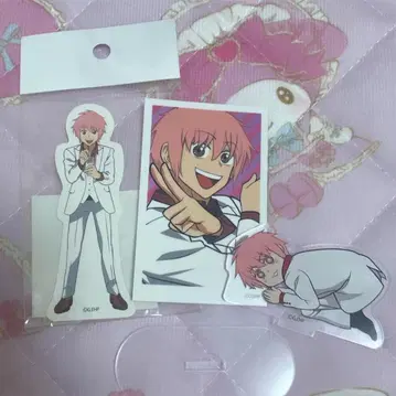 에브리데이 호스트 코이치 묶음 판매