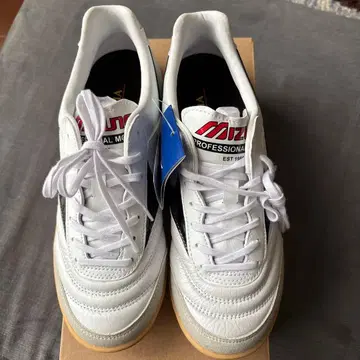 모렐리아 in 24.5